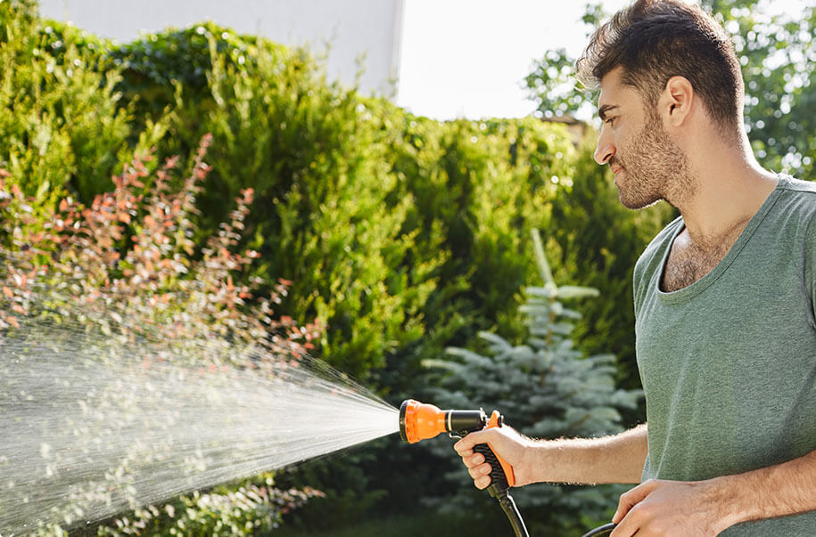Servizi di giardinaggio