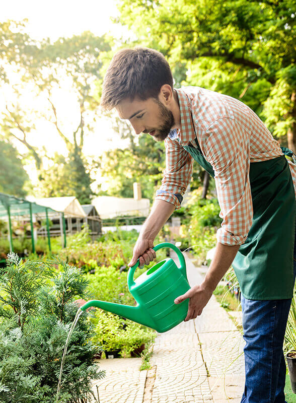 Consulenza di giardinaggio