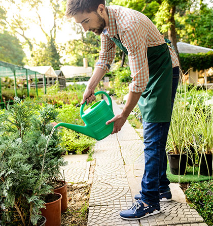 manutenzione giardino