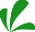 decorazione
