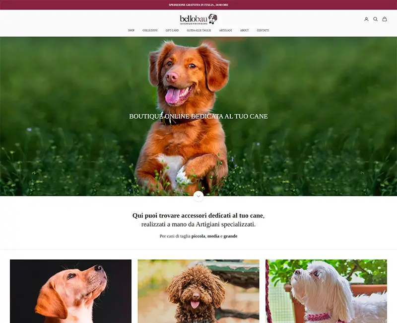 Progetto e-commerce Bello Bau con design del sito web moderno e ottimizzazione SEO
